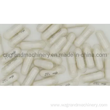 Added to Large Capsules Liquid Capsule Filling Machine